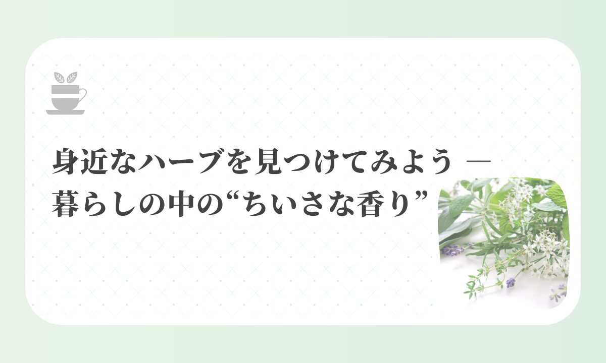 アイキャッチ-身近なハーブを見つけてみよう ― 暮らしの中の“ちいさな香り”