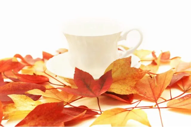 白いティーカップと紅葉の葉に囲まれた秋らしい風景