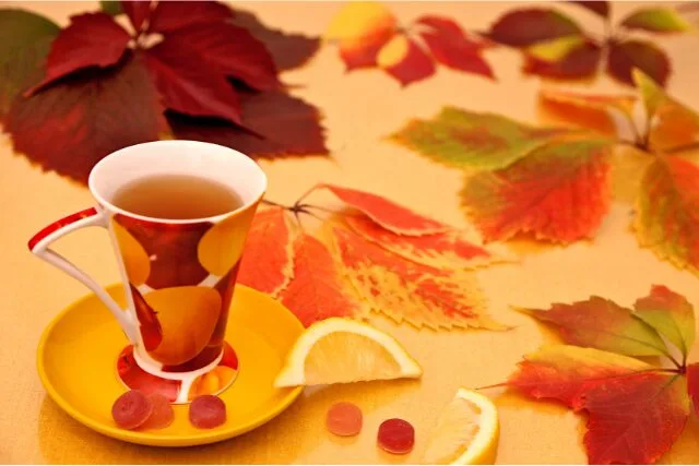 紅葉の葉に囲まれた黄色のカップとレモンを添えたハーブティー