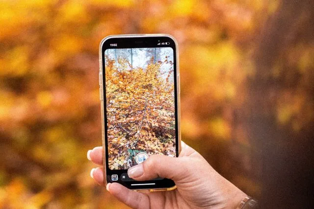 紅葉を撮影するスマートフォンの手元。日常の中で秋を感じるひととき。