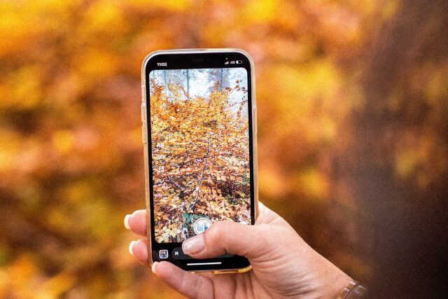 紅葉を撮影するスマートフォンの手元。日常の中で秋を感じるひととき。