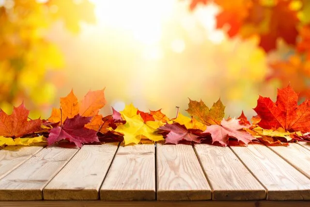 木のテーブルに並ぶ赤や黄の落ち葉。やわらかな光に包まれた秋の情景。