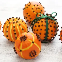 オレンジポマンダーの写真