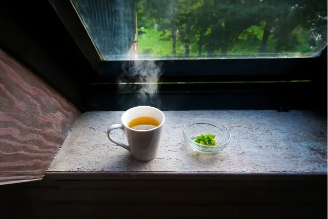 窓辺のハーブティーの写真