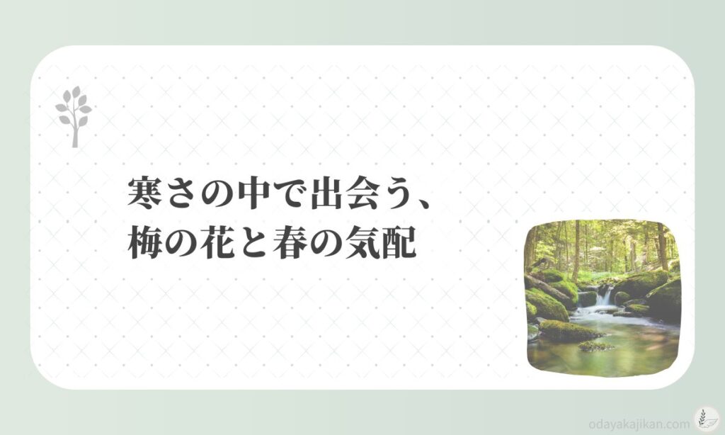 アイキャッチ-寒さの中で出会う、梅の花と春の気配