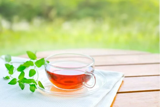 ハーブティーのカップの写真