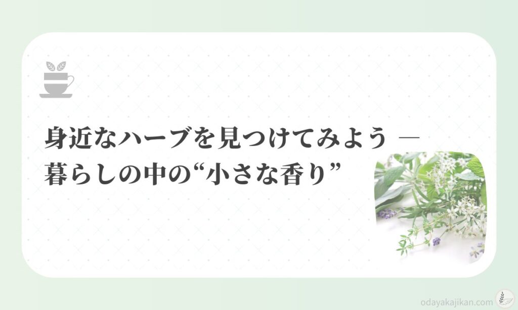 アイキャッチ-身近なハーブを見つけてみよう ― 暮らしの中の小さな香り”