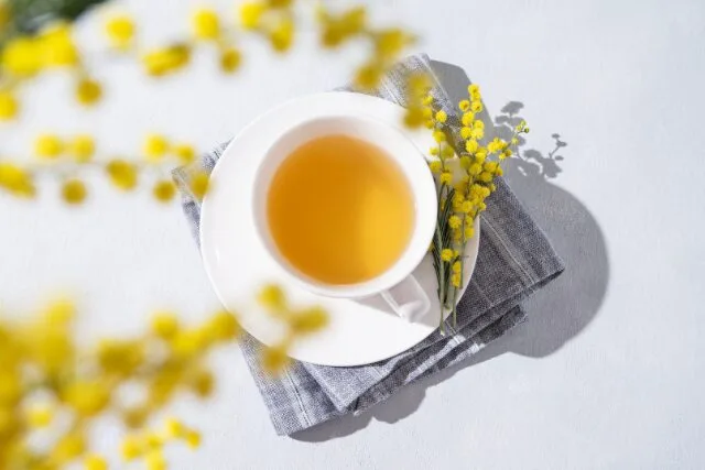 春のハーブティー ミモザとティーカップの写真
