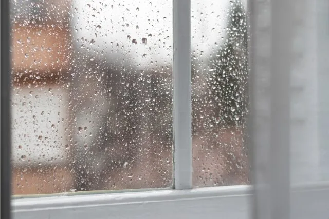 雨粒のついた白い窓枠の写真