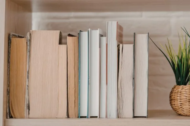 木製の棚に並ぶ本と観葉植物の写真