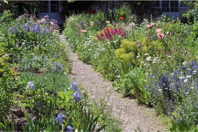 ハーブ園の小道の写真