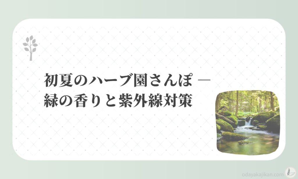 アイキャッチ-初夏のハーブ園さんぽ ― 緑の香りと紫外線対策