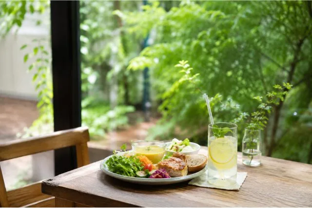 緑の多いカフェのプレートランチの写真